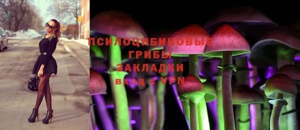 герыч Осинники