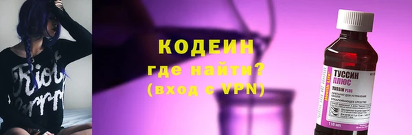 бошки Няндома