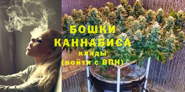бошки Няндома