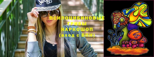 индика Видное