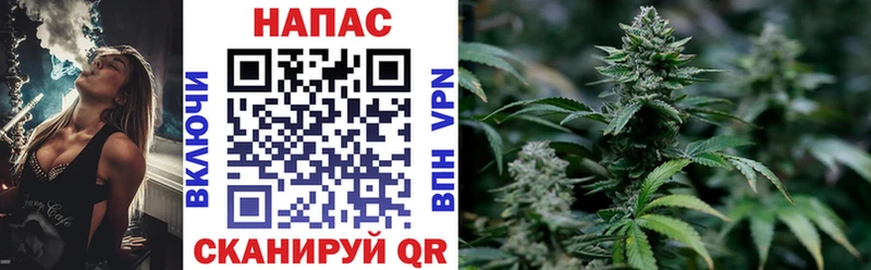 Бошки Шишки семена Анадырь